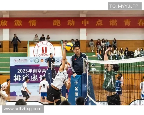 体育实时数据南京排球队的力量探秘展现青春拼搏与团队精神的魅力