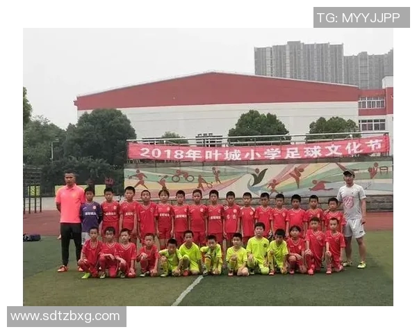 体育实时数据李军深度解析篮球技巧与战术分享助你提升球技的独家心得